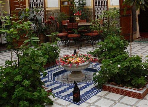 رياد Dalia مراكش