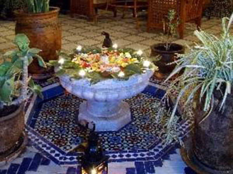 رياد Dalia 3*
